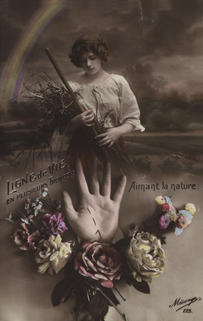 Chiromancie : la ligne de vie - French Photographer